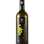 FALANGHINA
